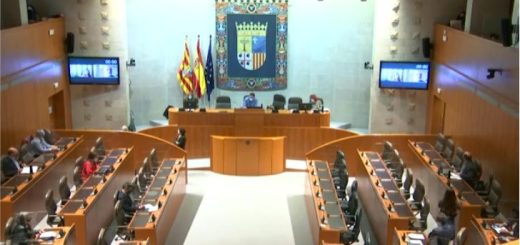 20201115-Comparecencia-de-la-Plataforma-en-las-Cortes-de-Aragon