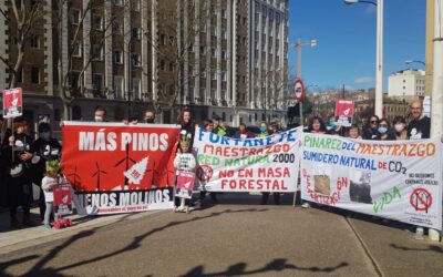 Éxito de  la Manifestación Aliente en Aragón: #renovablessíperonoasí