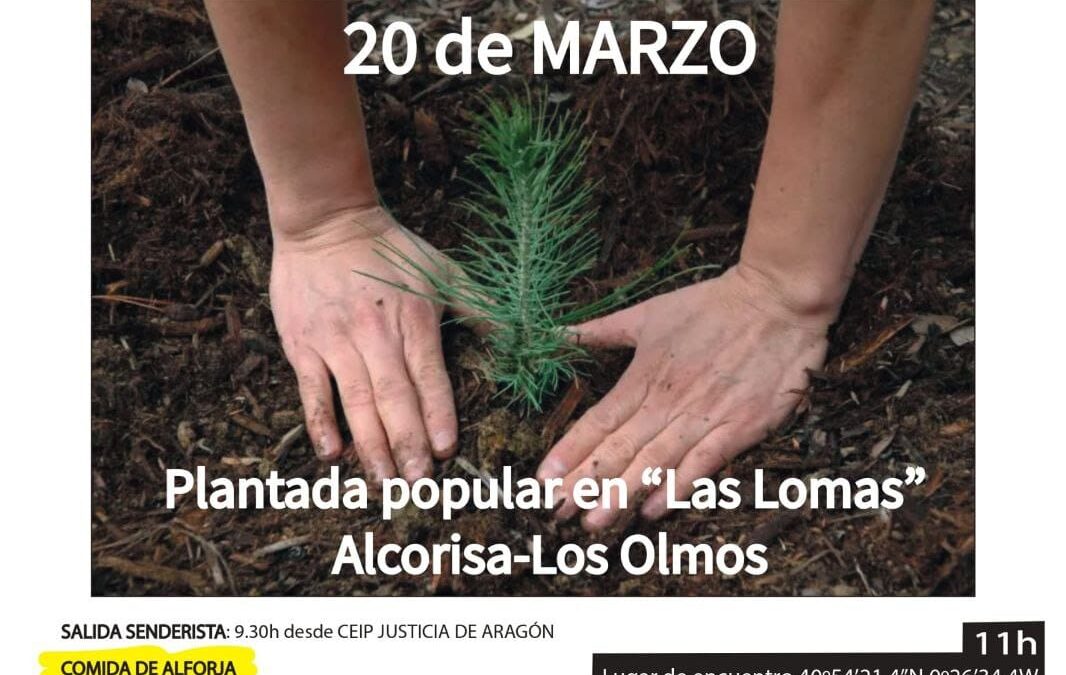 Plantada popular en «Las Lomas» (Alcorisa – Los Olmos)