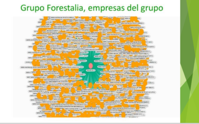 CARTA DE UN GRUPO DE PROFESORES, INVESTIGADORES Y PTGAS DE LA UNIVERSIDAD DE ZARAGOZA AL RECTOR A PROPÓSITO DE LA CREACIÓN DE LA CÁTEDRA FORESTALIA