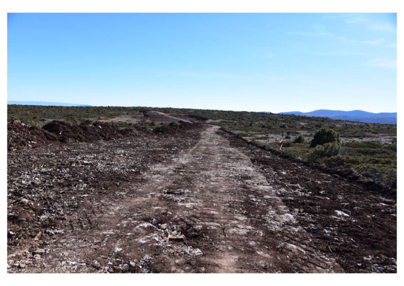 Santos de la Piedra, en la comarca de Albarracín. Destrucción del hábitat prioritario de Juniperus ssp