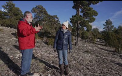 «ENERGÍVOROS». PAISAJES DE TERUEL COLABORA EN EL PROGRAMA «EL ESCARABAJO VERDE».