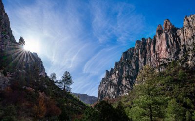 LLANTO POR EL MAESTRAZGO