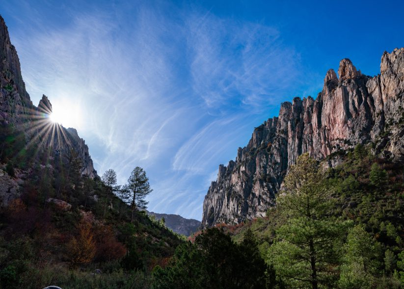 FOTO SELECCIONADA EN EL I CONCURSO DE FOTOGRAFÍA