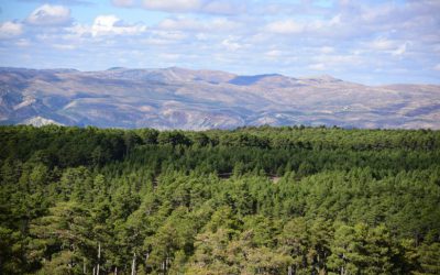 Paisajes de Teruel interpondrá 30 recursos de alzada y 4 contenciosos a macroproyectos que amenazan a las sierras turolenses.