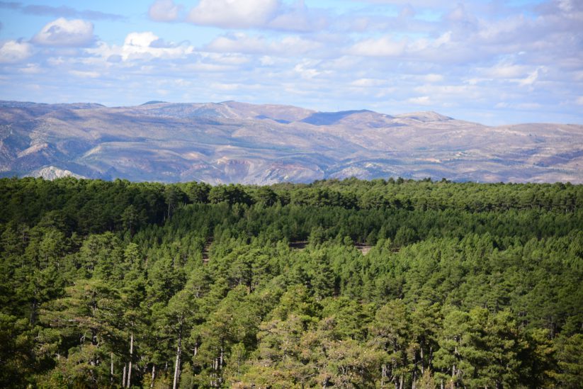 SIERRA DE MAJALINOS DESDE EL MAESTRAZGO