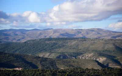 Paisajes de Teruel interpondrá 30 recursos de alzada y 4 contenciosos a macroproyectos que amenazan a las sierras turolenses.