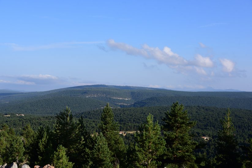 Pinares de Mosqueruela