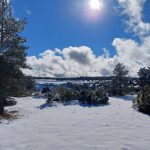 Nieve en Mosqueruela. Foto de Joaquín Gargallo.