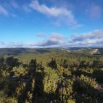 Pinares-de-Villarluengo.-Ricardo-Figueras