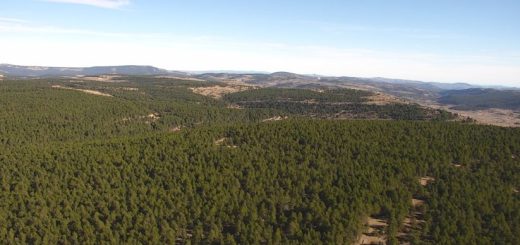 Paisajes-vuelo-Maestrazgo