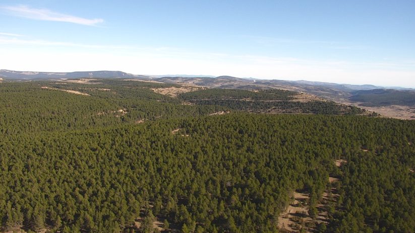 Paisajes-vuelo-Maestrazgo