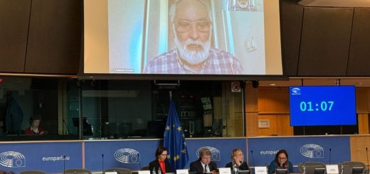 20260415-Javier-en-la-Comision-de-Peticiones-del-Parlamento-Europeo