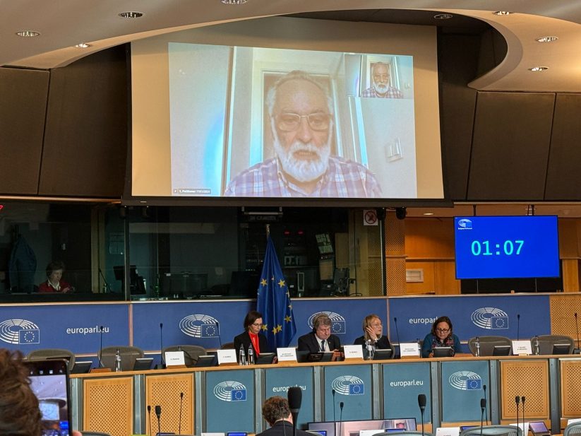 20260415-Javier-en-la-Comision-de-Peticiones-del-Parlamento-Europeo