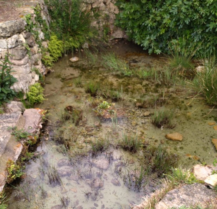 20230831 ARAINFO -Las-aguas-la-cuarta-esfera