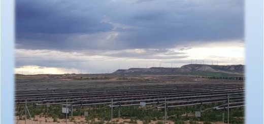 2024 Energía eólica y su impacto ambiental en la biodiversidad aragonesa.